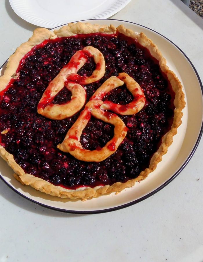 540620780_122224705982040908_7344048781916496827_n